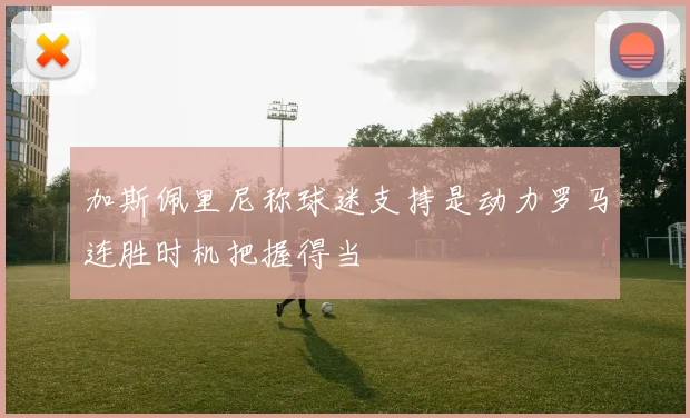 加斯佩里尼称球迷支持是动力罗马连胜时机把握得当